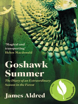 cover image of Goshawk Summer